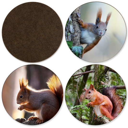 Set of 4 Photo Coasters - Wooden, Round, Gloss